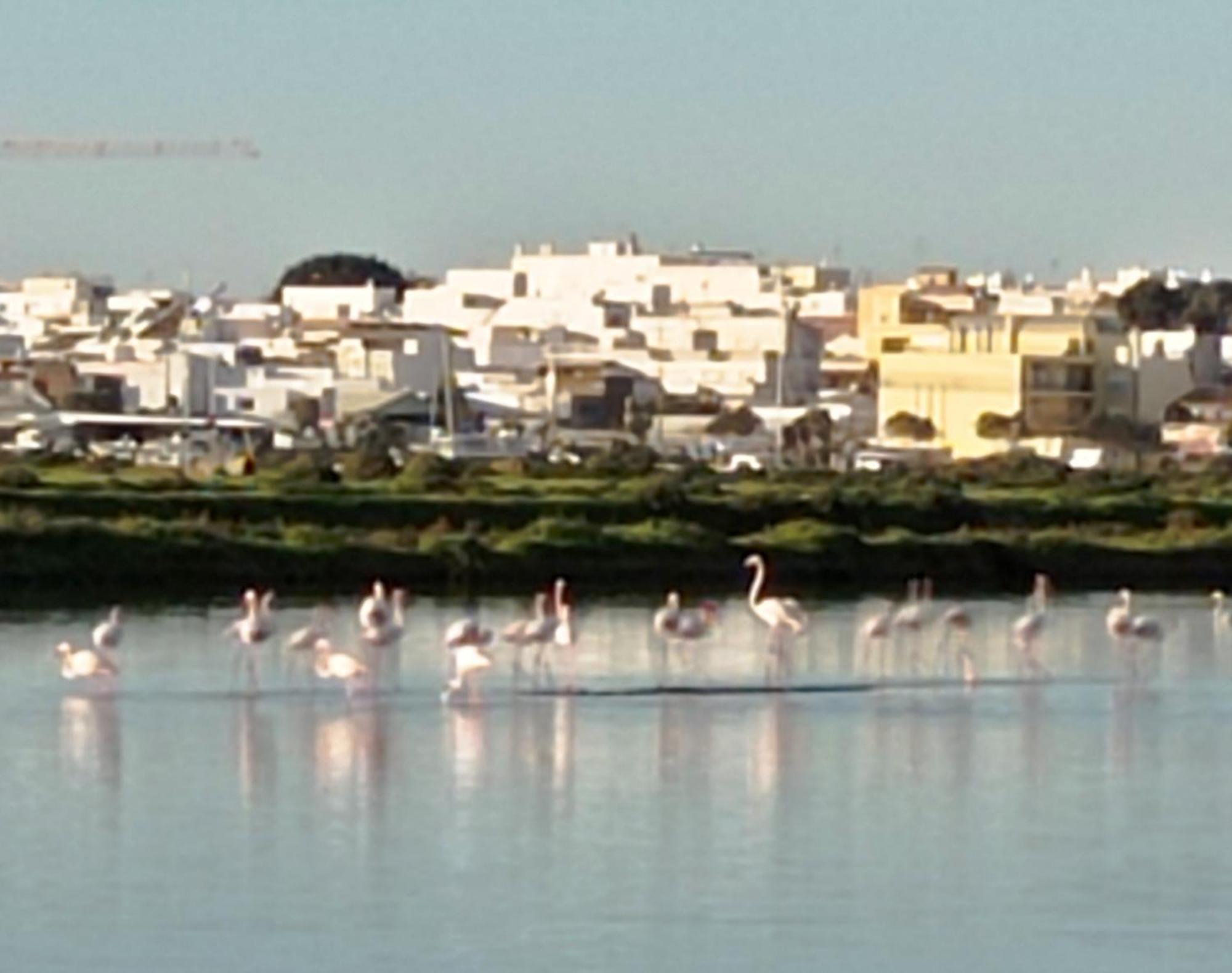 Hotel Casa Do Livramento Luz de Tavira Esterno foto